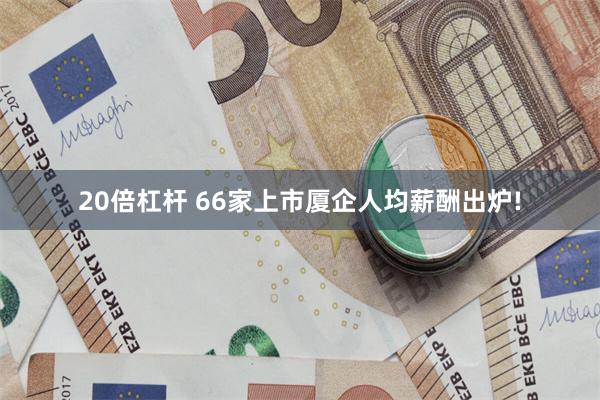 20倍杠杆 66家上市厦企人均薪酬出炉!