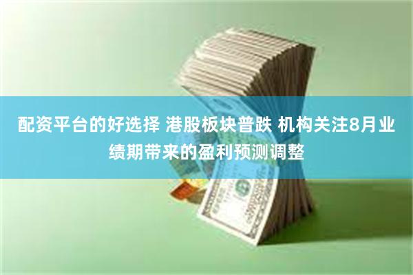 配资平台的好选择 港股板块普跌 机构关注8月业绩期带来的盈利预测调整