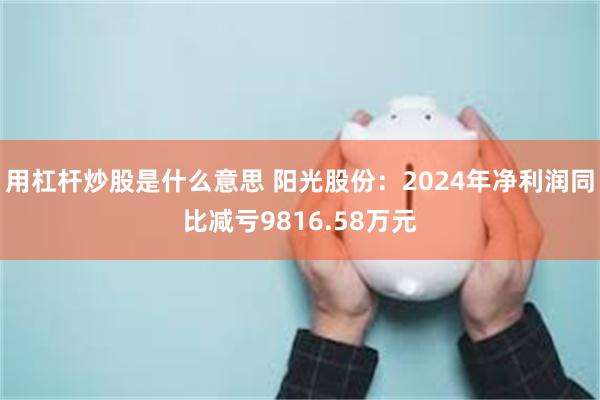 用杠杆炒股是什么意思 阳光股份：2024年净利润同比减亏9816.58万元