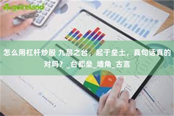 怎么用杠杆炒股 九层之台，起于垒土，真句话真的对吗？_台都垒_墙角_古言