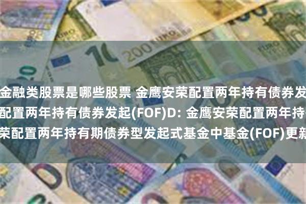 金融类股票是哪些股票 金鹰安荣配置两年持有债券发起(FOF)A,金鹰安荣配置两年持有债券发起(FOF)D: 金鹰安荣配置两年持有期债券型发起式基金中基金(FOF)更新的招募说明书