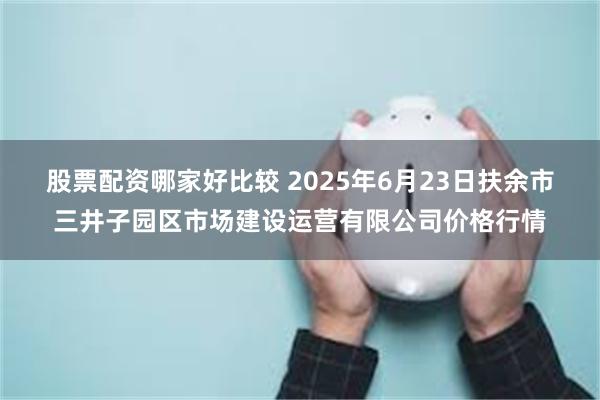 股票配资哪家好比较 2025年6月23日扶余市三井子园区市场建设运营有限公司价格行情
