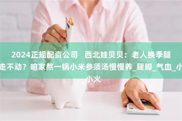2024正规配资公司   西北娃贝贝：老人换季腿沉走不动？咱家熬一锅小米参须汤慢慢养_腿脚_气血_小火