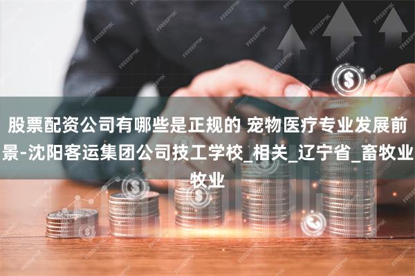 股票配资公司有哪些是正规的 宠物医疗专业发展前景-沈阳客运集团公司技工学校_相关_辽宁省_畜牧业