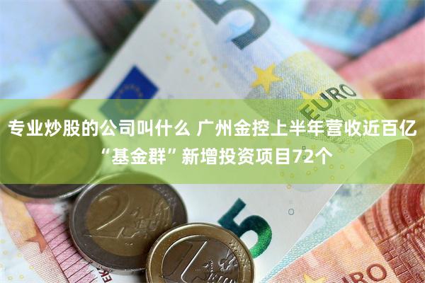 专业炒股的公司叫什么 广州金控上半年营收近百亿 “基金群”新增投资项目72个