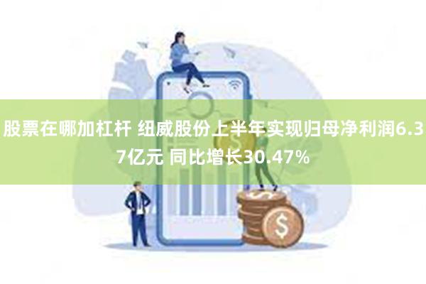 股票在哪加杠杆 纽威股份上半年实现归母净利润6.37亿元 同比增长30.47%