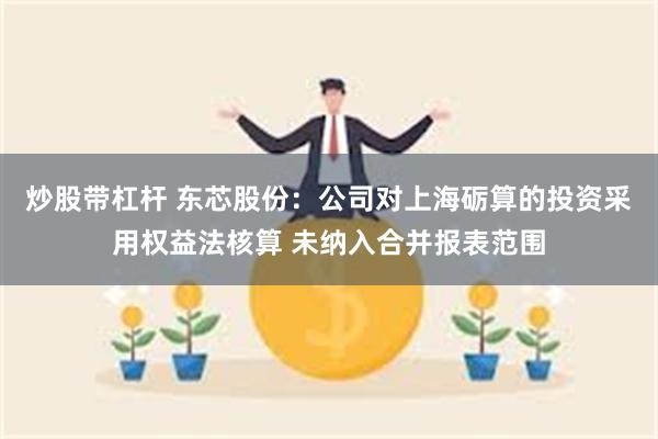 炒股带杠杆 东芯股份：公司对上海砺算的投资采用权益法核算 未纳入合并报表范围