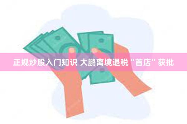 正规炒股入门知识 大鹏离境退税“首店”获批