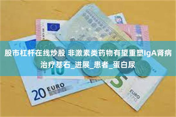 股市杠杆在线炒股 非激素类药物有望重塑IgA肾病治疗基石_进展_患者_蛋白尿