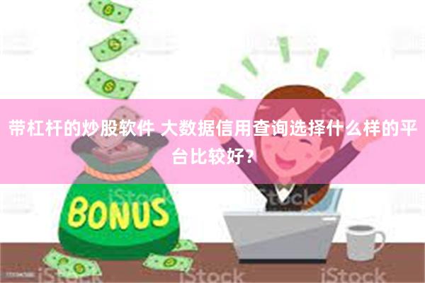 带杠杆的炒股软件 大数据信用查询选择什么样的平台比较好？