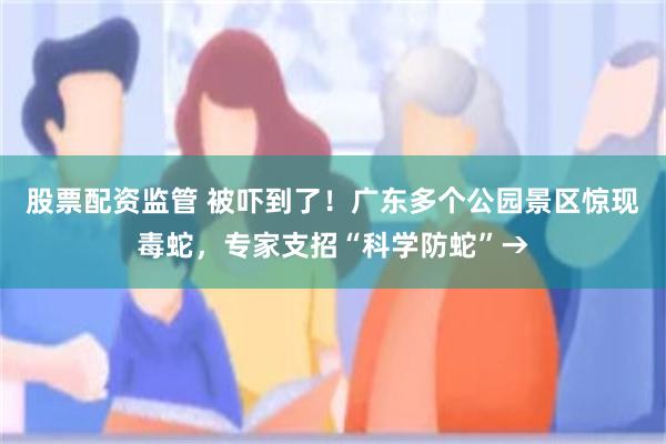 股票配资监管 被吓到了！广东多个公园景区惊现毒蛇，专家支招“科学防蛇”→