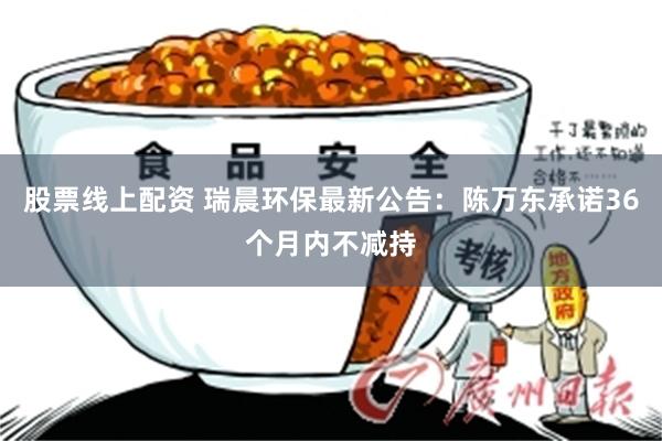 股票线上配资 瑞晨环保最新公告：陈万东承诺36个月内不减持