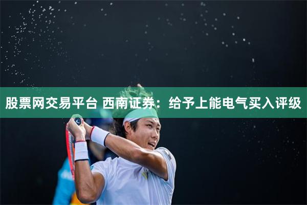 股票网交易平台 西南证券：给予上能电气买入评级