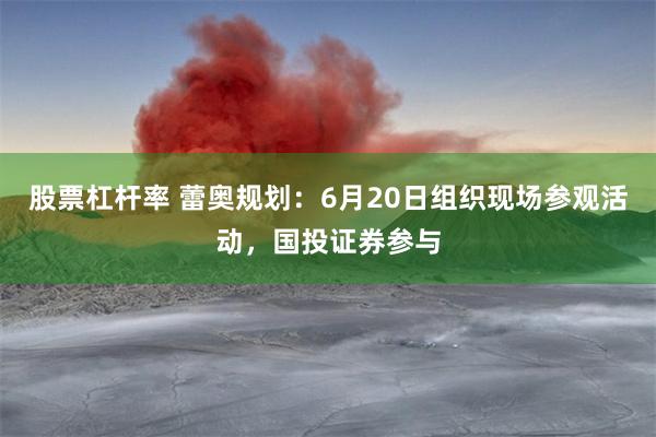 股票杠杆率 蕾奥规划：6月20日组织现场参观活动，国投证券参与