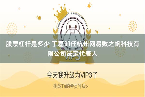 股票杠杆是多少 丁磊卸任杭州网易数之帆科技有限公司法定代表人