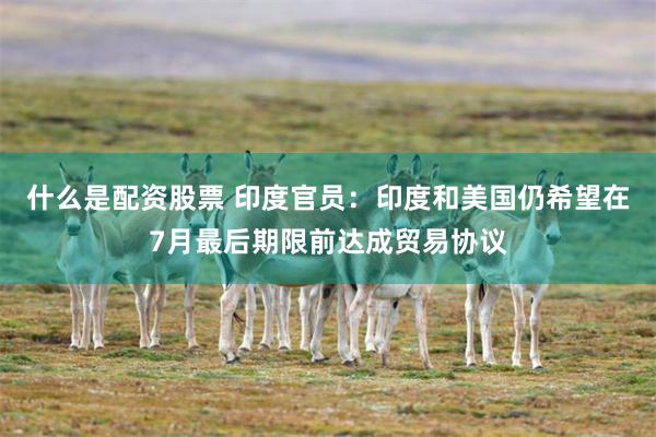 什么是配资股票 印度官员：印度和美国仍希望在7月最后期限前达成贸易协议