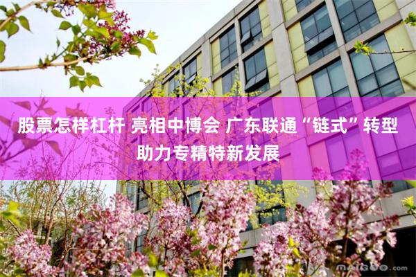 股票怎样杠杆 亮相中博会 广东联通“链式”转型助力专精特新发展