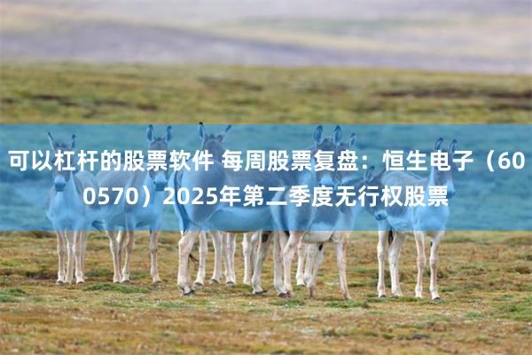 可以杠杆的股票软件 每周股票复盘：恒生电子（600570）2025年第二季度无行权股票