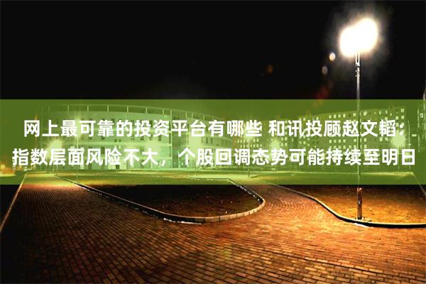网上最可靠的投资平台有哪些 和讯投顾赵文韬：指数层面风险不大，个股回调态势可能持续至明日