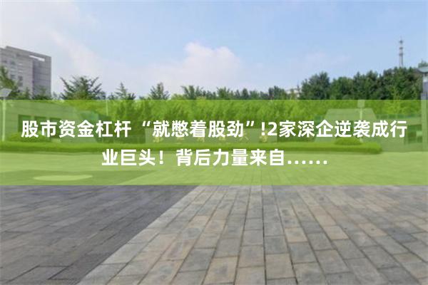 股市资金杠杆 “就憋着股劲”!2家深企逆袭成行业巨头!背后力量来自……