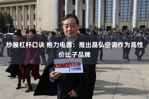 炒股杠杆口诀 格力电器：推出晶弘空调作为高性价比子品牌