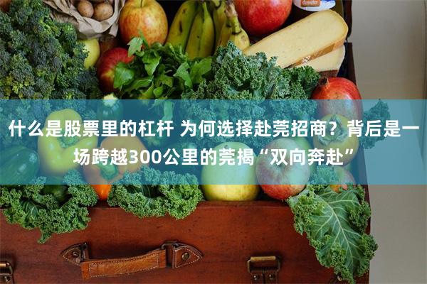 什么是股票里的杠杆 为何选择赴莞招商？背后是一场跨越300公里的莞揭“双向奔赴”
