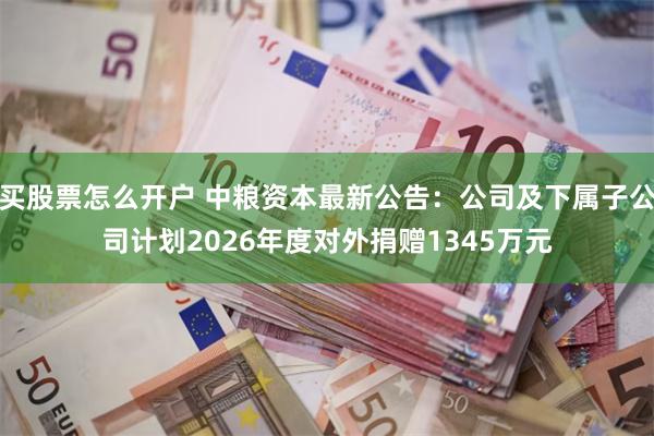 买股票怎么开户 中粮资本最新公告：公司及下属子公司计划2026年度对外捐赠1345万元