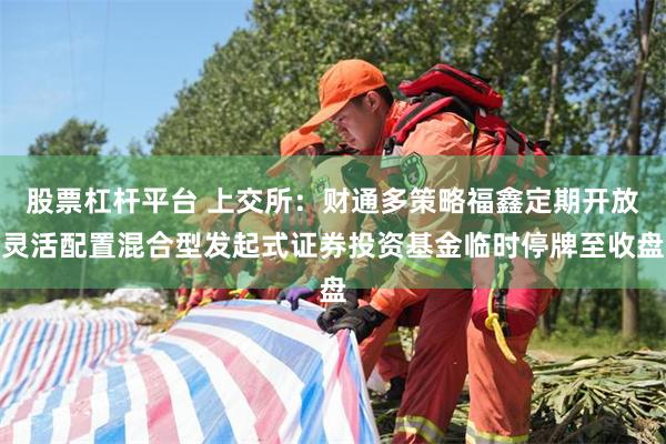 股票杠杆平台 上交所：财通多策略福鑫定期开放灵活配置混合型发起式证券投资基金临时停牌至收盘