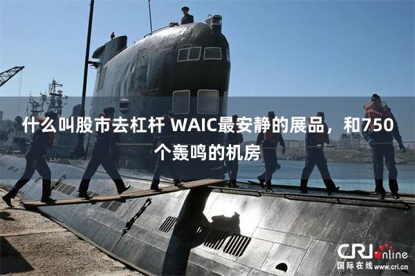 什么叫股市去杠杆 WAIC最安静的展品,和750个轰鸣的机房