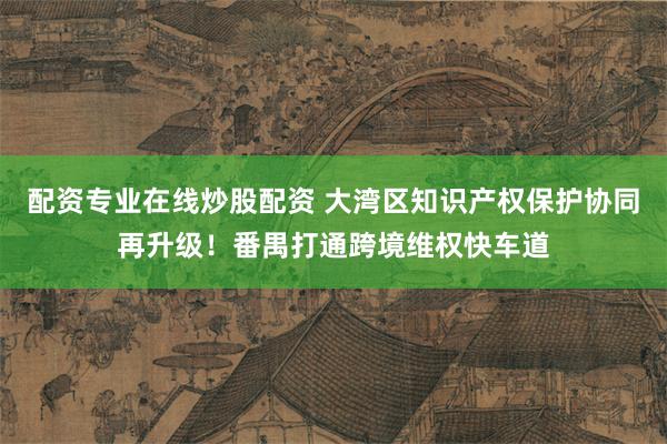 配资专业在线炒股配资 大湾区知识产权保护协同再升级！番禺打通跨境维权快车道
