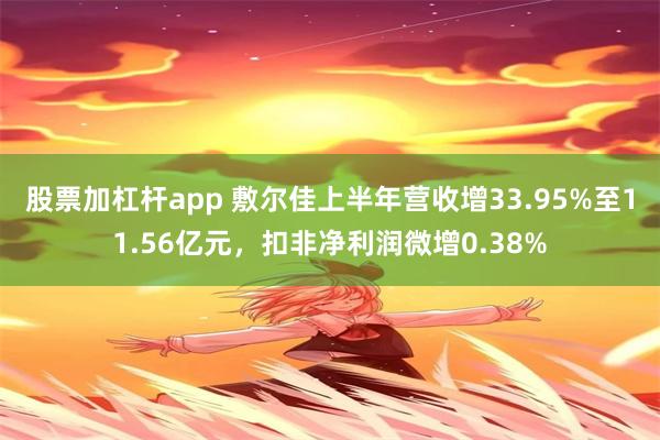 股票加杠杆app 敷尔佳上半年营收增33.95%至11.56亿元，扣非净利润微增0.38%