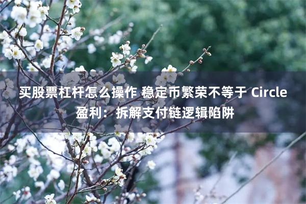 买股票杠杆怎么操作 稳定币繁荣不等于 Circle 盈利：拆解支付链逻辑陷阱