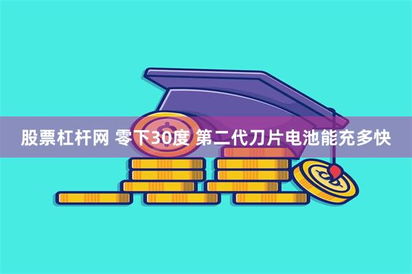 股票杠杆网 零下30度 第二代刀片电池能充多快