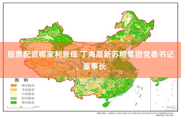 股票配资哪家利息低 丁海履新苏粮集团党委书记、董事长