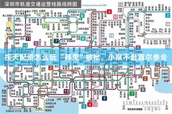 按天配资怎么玩 “拜鬼”被批,小泉不赴首尔参会