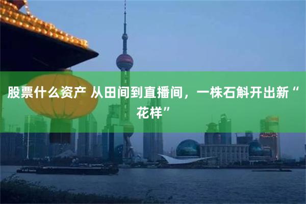 股票什么资产 从田间到直播间,一株石斛开出新“花样”