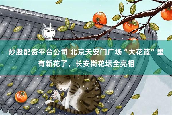 炒股配资平台公司 北京天安门广场“大花篮”里有新花了，长安街花坛全亮相