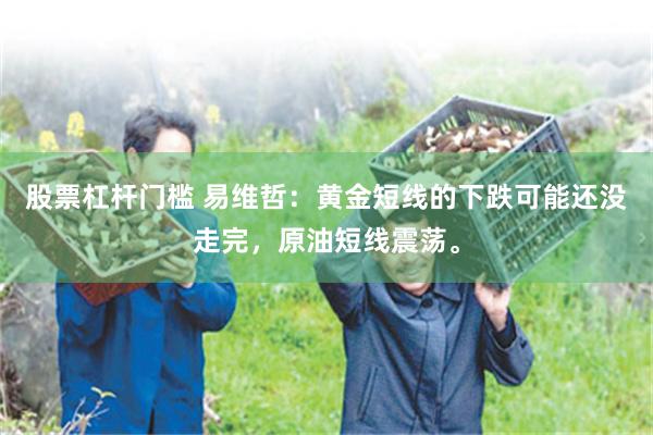 股票杠杆门槛 易维哲：黄金短线的下跌可能还没走完，原油短线震荡。