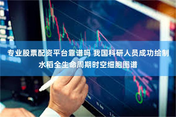 专业股票配资平台靠谱吗 我国科研人员成功绘制水稻全生命周期时空细胞图谱
