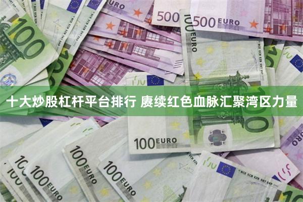 十大炒股杠杆平台排行 赓续红色血脉汇聚湾区力量
